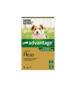 Advantage Green for Small Dog